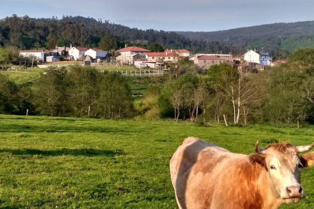 Villa Casa Da Labaceira Santo Tomé Esterno foto